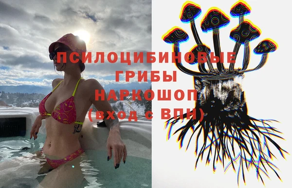 прущая мука Коряжма